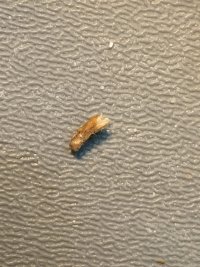 IMG_5889.jpeg