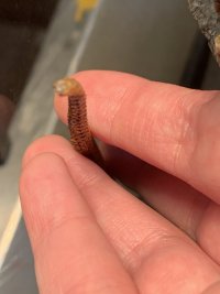 IMG_5895.jpeg