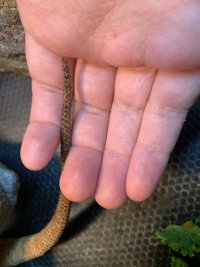 IMG_5896.jpeg