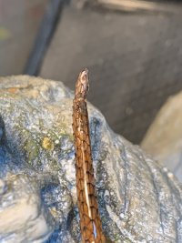 IMG_5899.jpeg