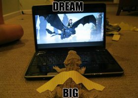 bearded-dragon-dream.jpg