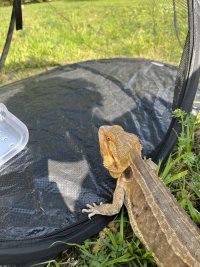 IMG_4675.JPEG