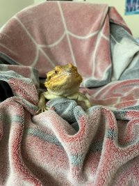 IMG_4744.JPEG