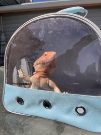 IMG_0031.jpeg