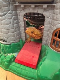 IMG_0850.jpeg