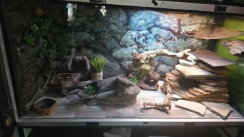 75g.jpg