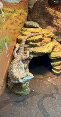 IMG_7759.jpeg