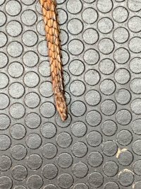 IMG_6354.jpeg