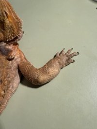 IMG_3336 Small.jpeg