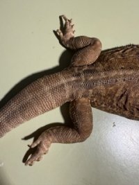 IMG_3441 Small.jpeg