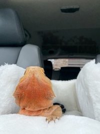 IMG_3273 Small.jpeg