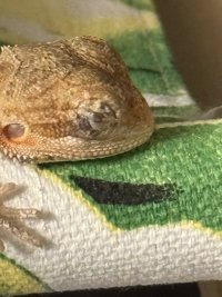 IMG_2210.jpeg