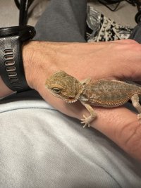 IMG_1702.jpeg
