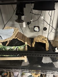 IMG_1722.jpeg