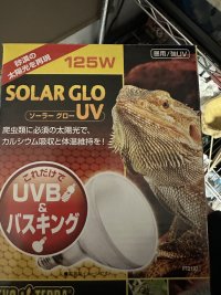 IMG_1721.jpeg