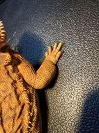 IMG_3521 Medium.jpeg