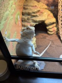 IMG_7961.jpeg