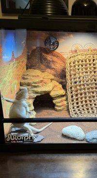 IMG_7960.jpeg