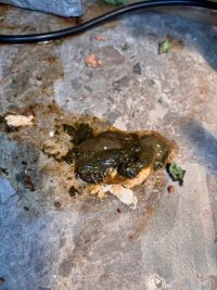IMG_1401.jpeg