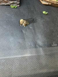 IMG_7561.jpeg