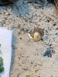 IMG_7586.jpeg