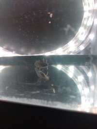 IMG_20250528_232749084.jpg