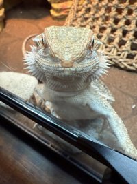 IMG_8186.jpeg