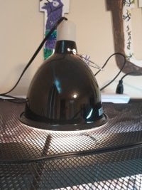 20250624_114152.jpg