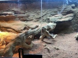 IMG_6624.jpeg