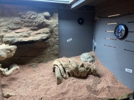 IMG_6622.jpeg