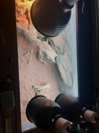 IMG_6621.jpeg