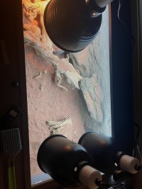 IMG_6620.jpeg