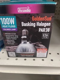 IMG_6618.jpeg