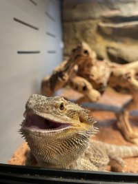 IMG_6614.jpeg