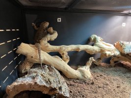 IMG_1294.jpeg