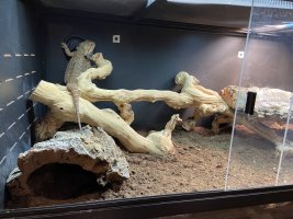 IMG_1295.jpeg