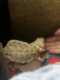 IMG_5455.jpeg