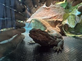 IMG_8289.jpeg