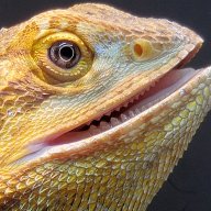 Mizjackson9