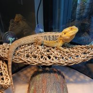 kukulkan