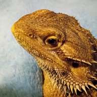 Zilla2025