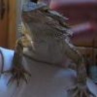Rockie