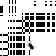 dociledragons