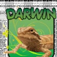 darwin08