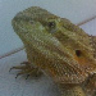 tonid