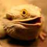 Derobmi