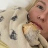annabella