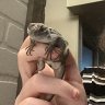 LarryTheLizard