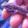 billster989