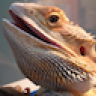 CooperDragon